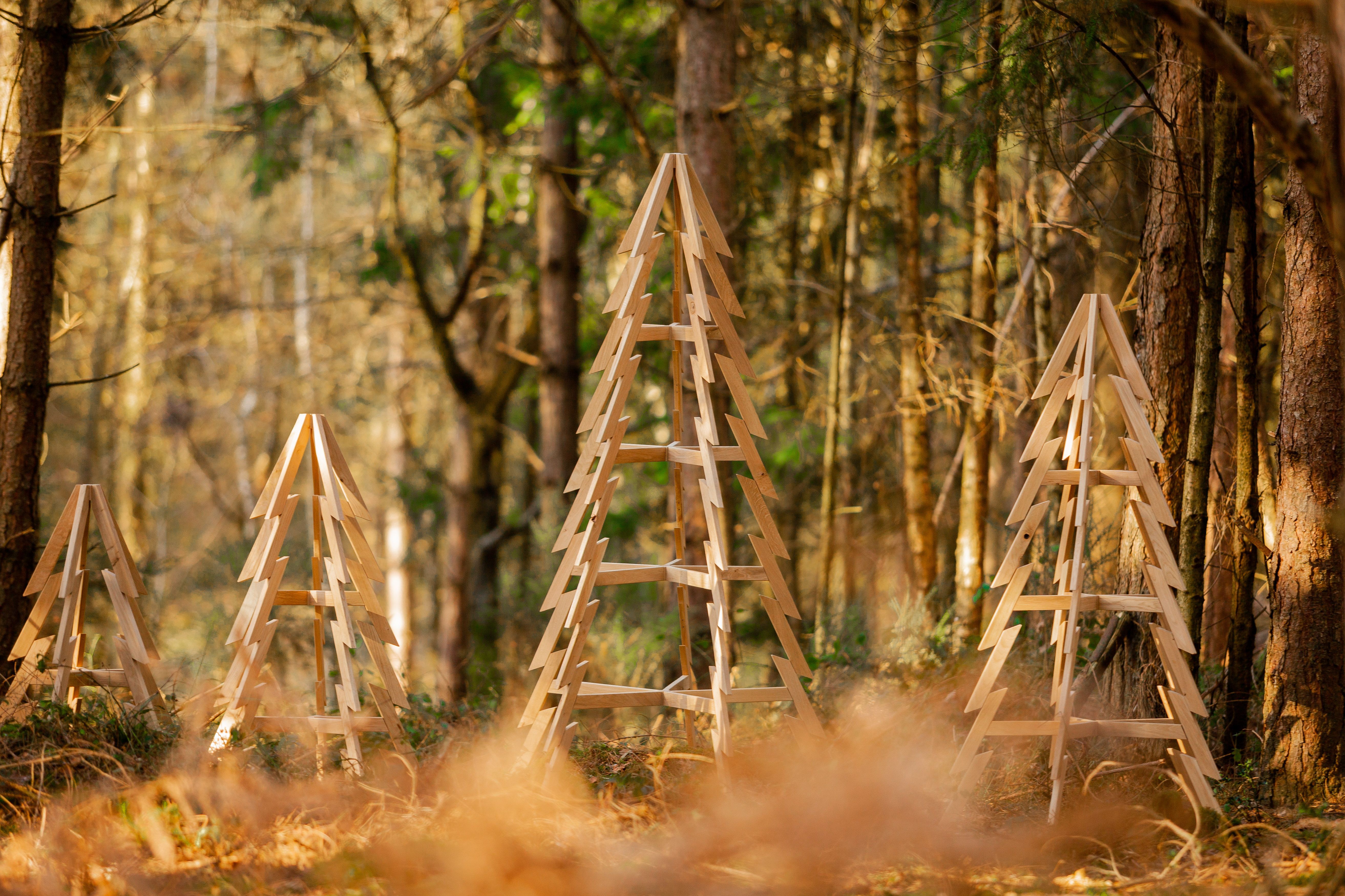 The Christmas Tree You Only Buy Once: Scalable Designs Puts Sustainability at the Heart of Christmas