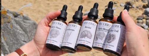 Well Being and a clear mind: The roar of Lion's Mane tinctures