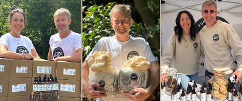 Why are Functional Mushrooms so Popular?