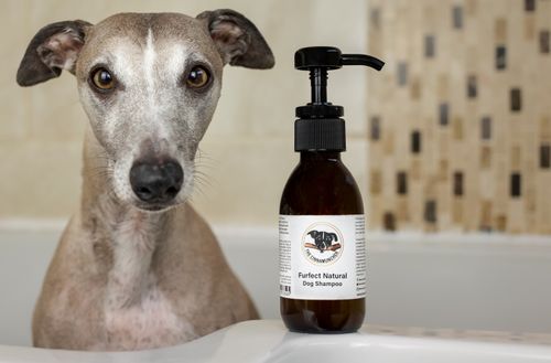 Furfect Natural Dog Grooming Range