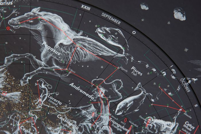 The Constellations