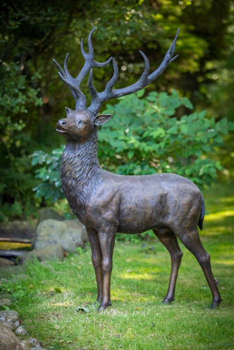 Majestic Stag