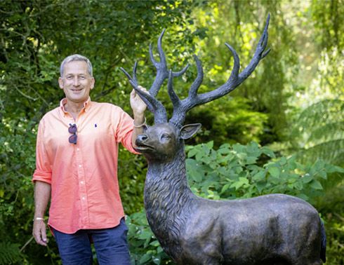 Majestic Stag