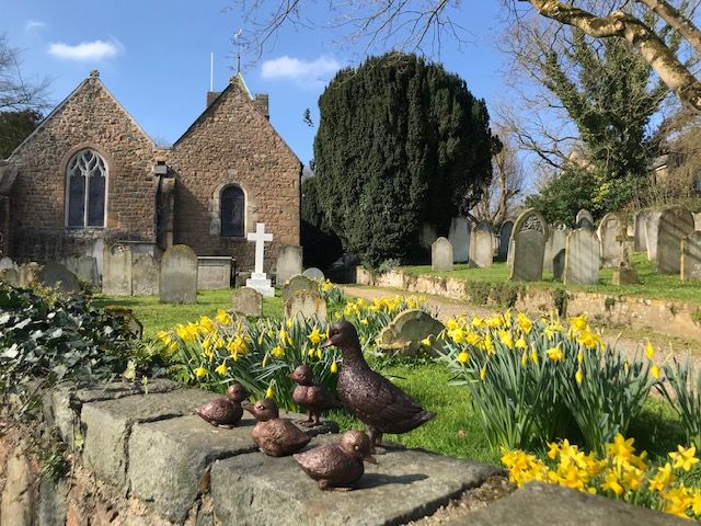 Duck Family