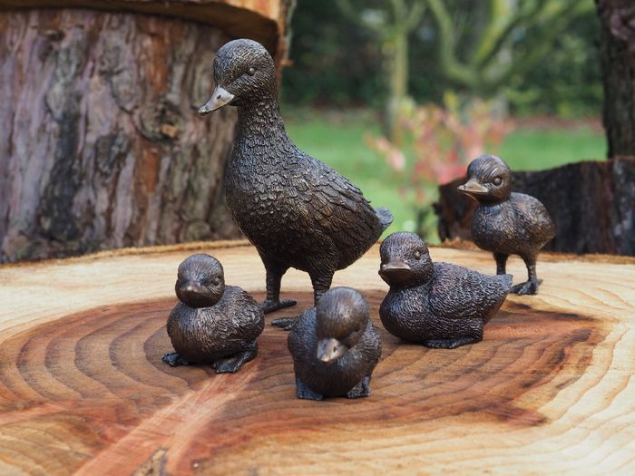 Duck Family