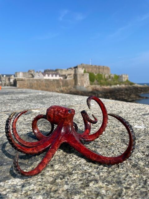 Octopus