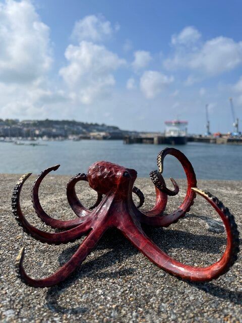 Octopus