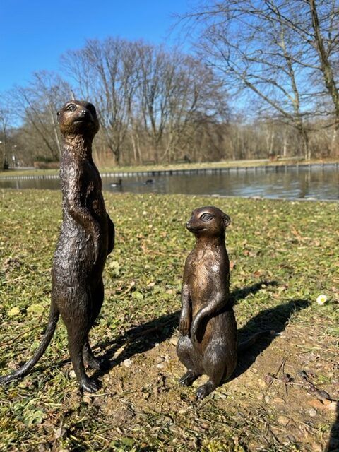 Meerkat Pair