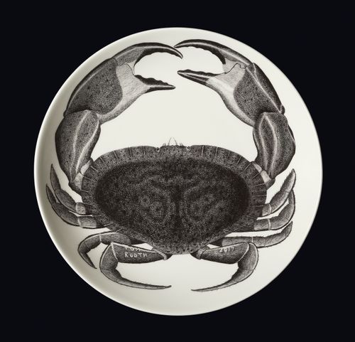 Hercules the crab (he's life-size)