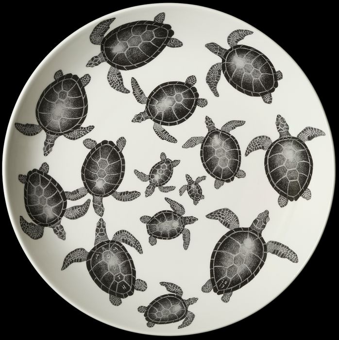 Turtle traffic