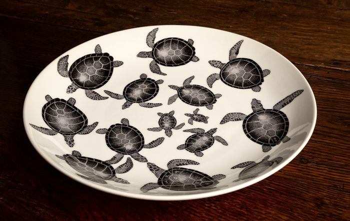 Turtle traffic