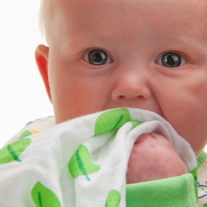 organic cotton muslins and swaddles