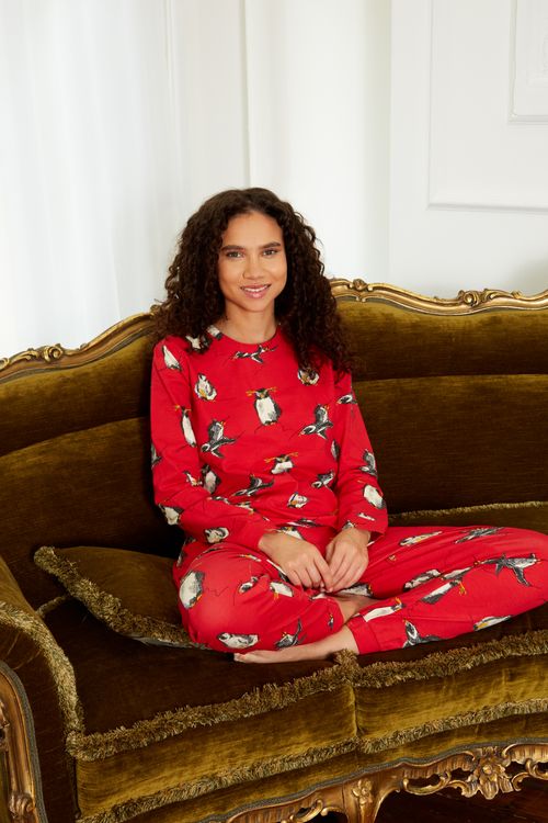 Christmas Penguin Story