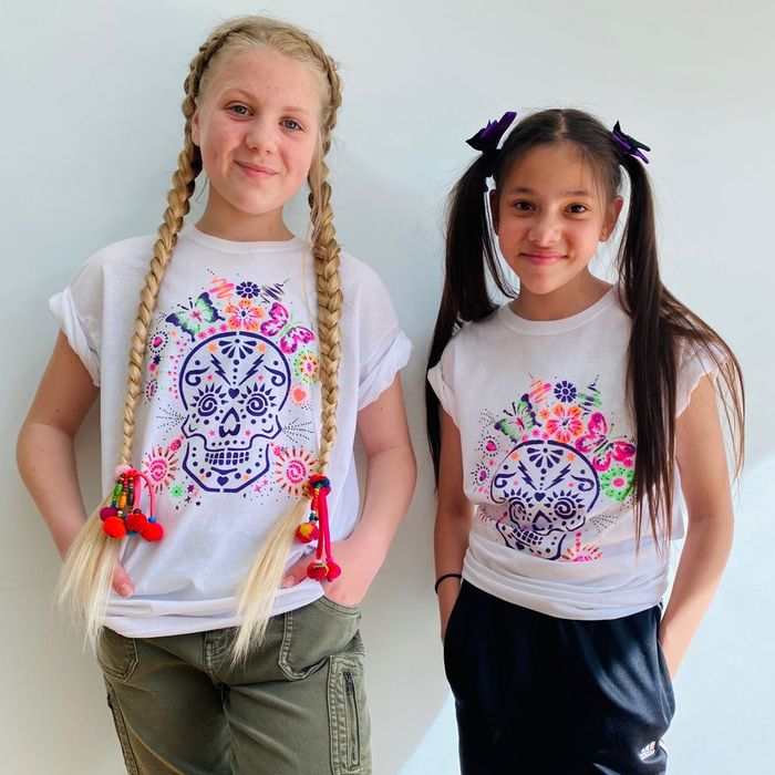 Day of the Dead Kids T-Shirt Painting Craft Kit Box