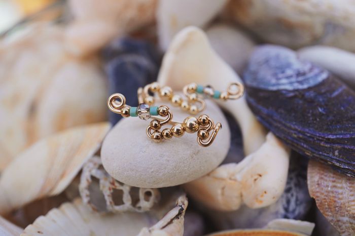 Ear Wings Climber Earrings