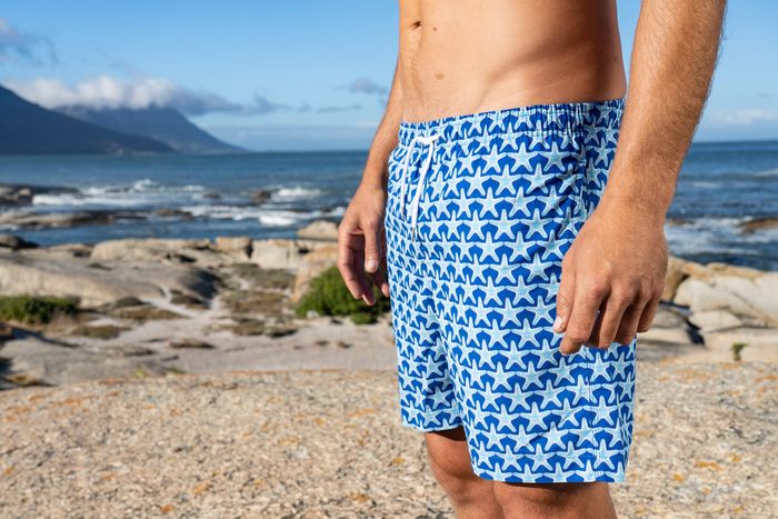 Cobalt Blue Starfish
