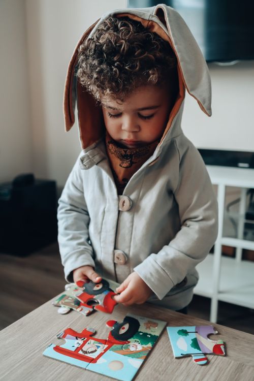 Baby & Toddler Grey Rabbit Hoodie