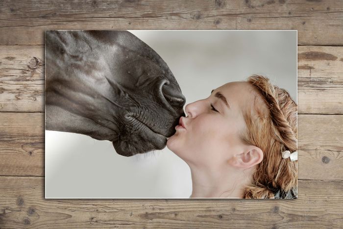 Stunning Metallic Fine Art Portaits