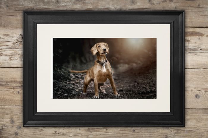 Wall Art Framed Images