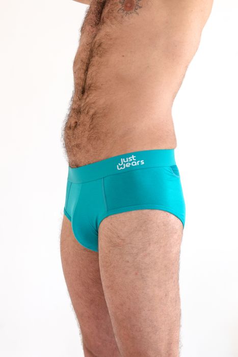 Briefs