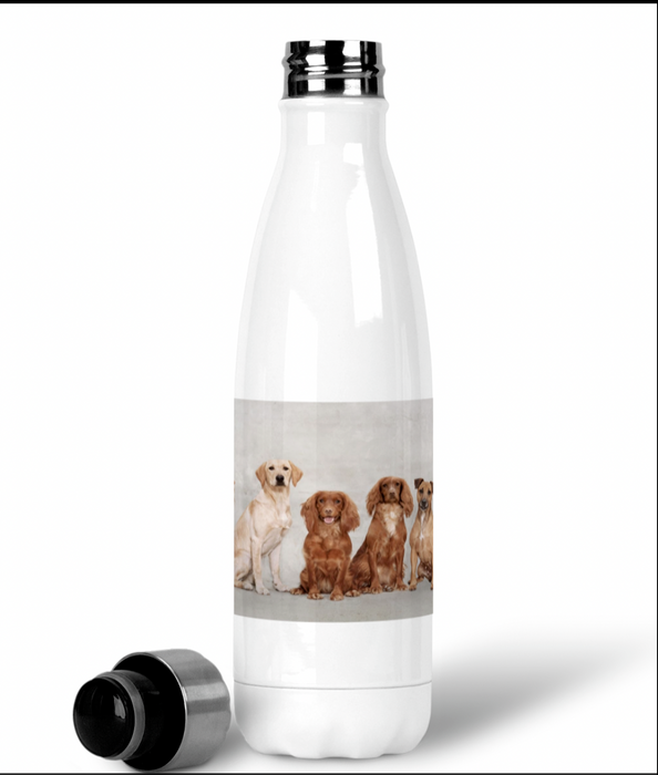 Personalised Water Bottle