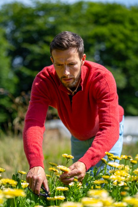 Zip Neck Jumper in Cashmere and Merino