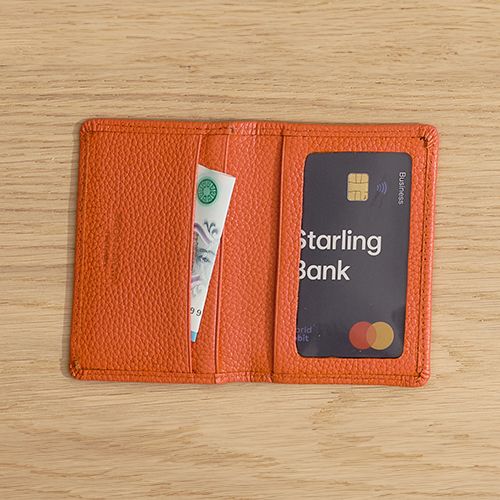 Travel Card Holder