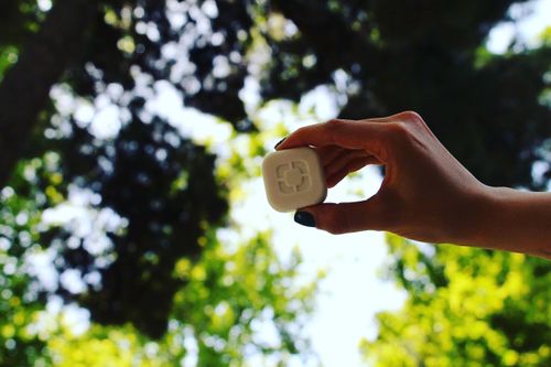 Parudeesa Natural Deodorant Bar