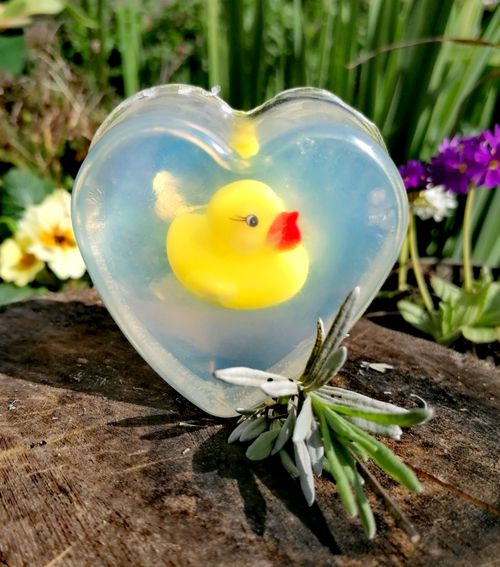 Duck Soap