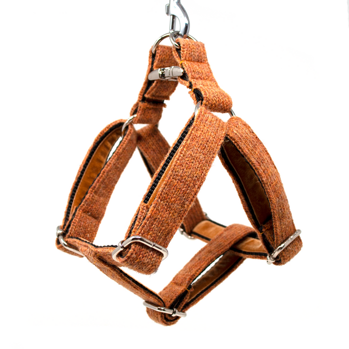 New! Copper Design - AW23 Collection
