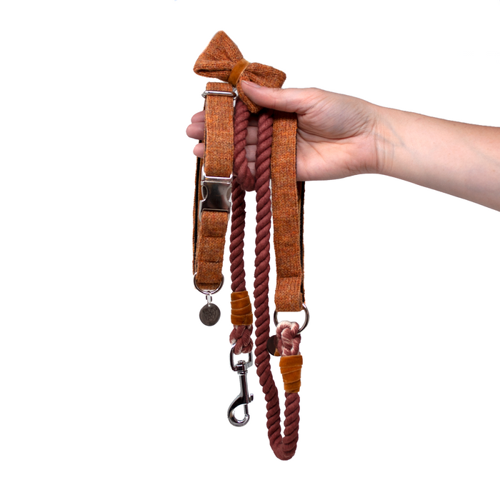 New! Copper Design - AW23 Collection