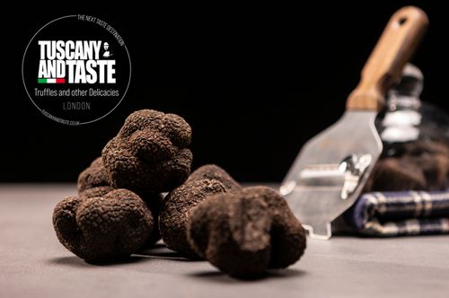 Black Uncinate Truffle - Tuber Uncinatum Chantin