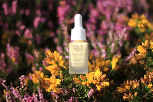 Wild Beauty Nourishing Eye Cream with Elderflower
