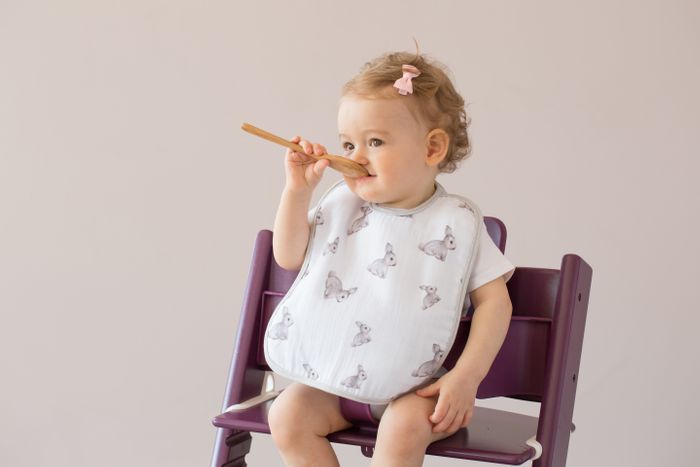 Baby Bib