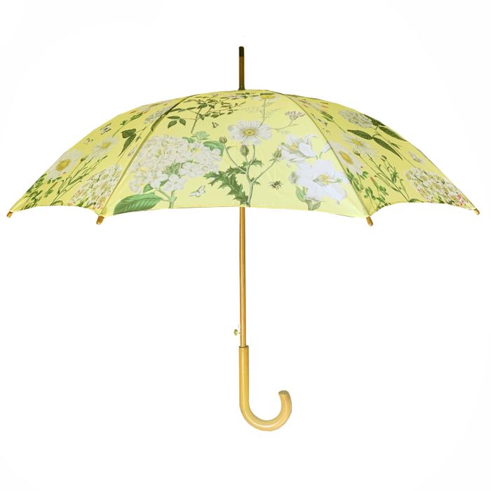 Rosehip Umbrellas