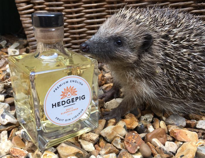 Hedgepig fruit gin liqueurs