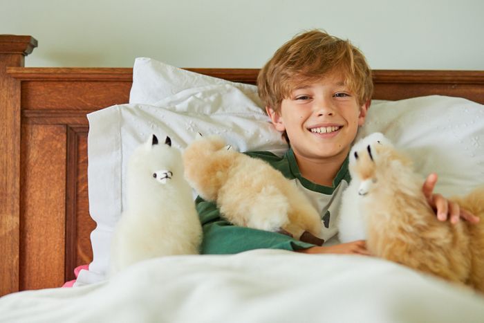 Cria - The Baby Alpaca Cuddly Toy
