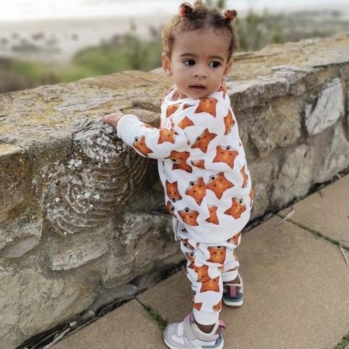 FOX cotton sweatshirt and jogger unisex tracksuit set