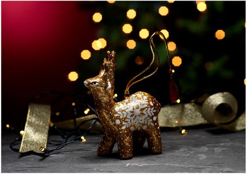 The Christmas Reindeer 3