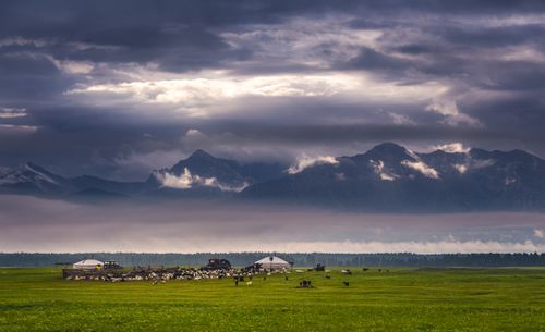 FROM MONGOLIA’S STEPPES TO BESPOKE LUXURY