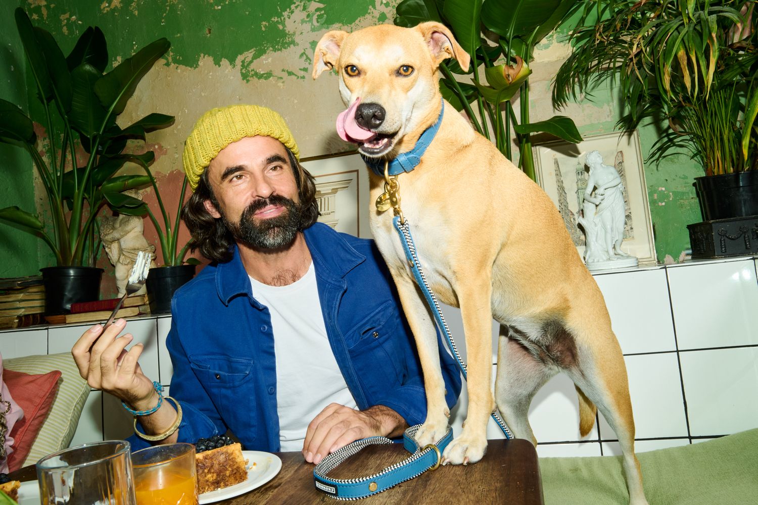 Cover image - CHOMMIES