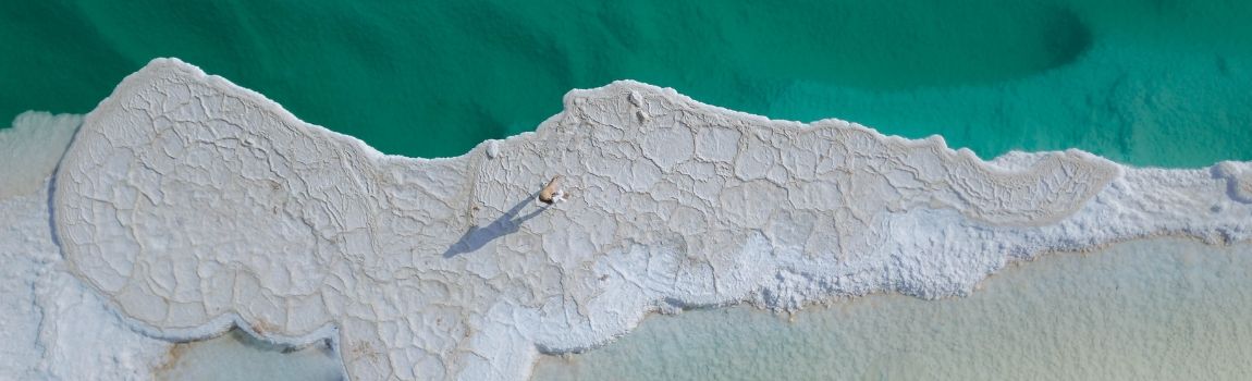 Cover image - Dead Sea Dream