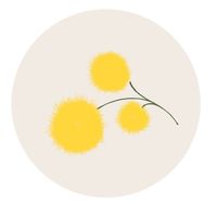 Company name - FELPETO HANDMADE Spanish kidswear