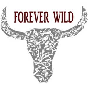 Exhibitor profile image for Forever Wild Interiors