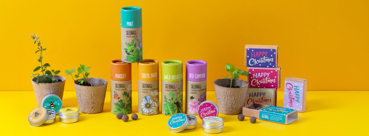 Cover image - Seedball