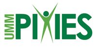 Company name - UmmPixies