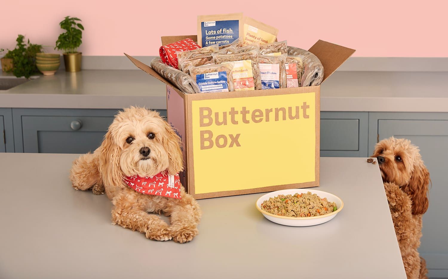 Butternut Box