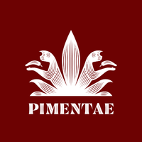 Company name - Pimentae Margarita Cocktails