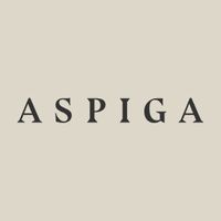 Company name - ASPIGA
