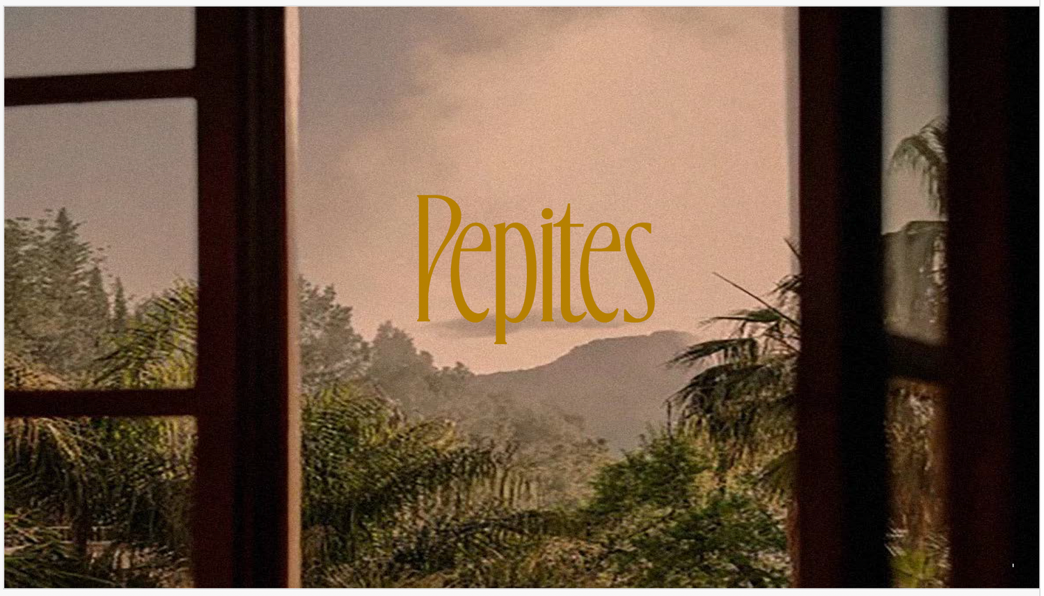 Cover image - Pepites Ltd